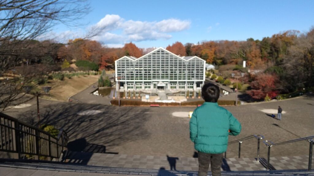 麻溝公園から相模原公園をみた景色