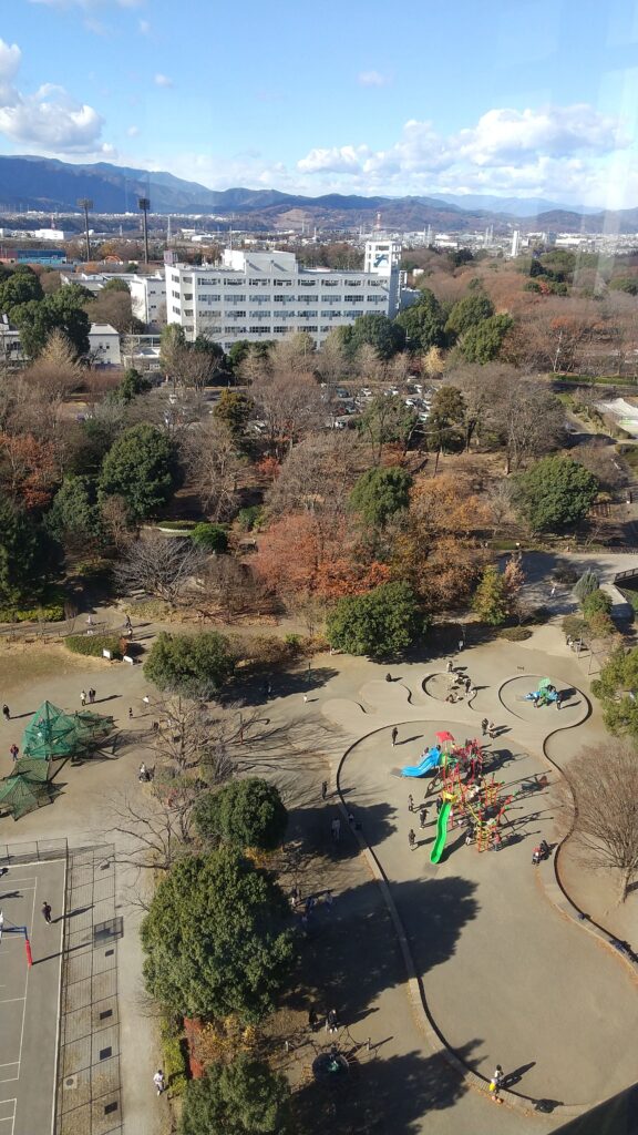 麻溝公園グリーンタワーからの景色