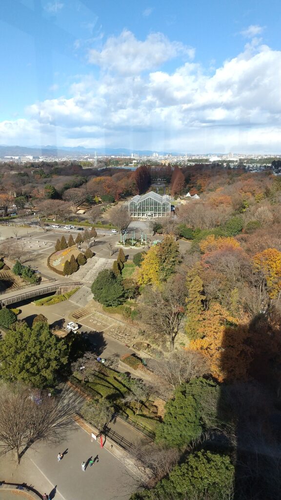 麻溝公園グリーンタワーからの景色